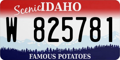 ID license plate W825781