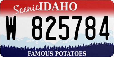 ID license plate W825784