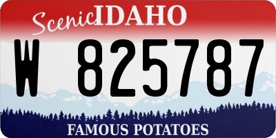 ID license plate W825787