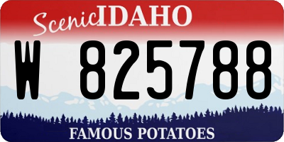 ID license plate W825788