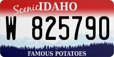 ID license plate W825790