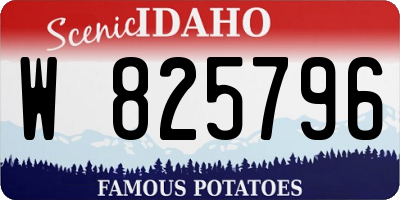 ID license plate W825796