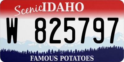 ID license plate W825797