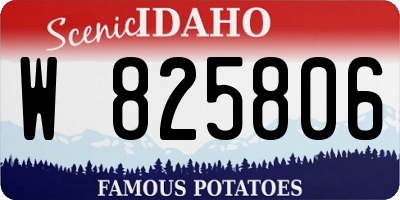 ID license plate W825806