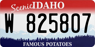 ID license plate W825807