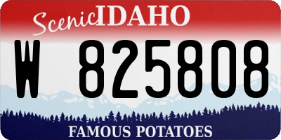 ID license plate W825808