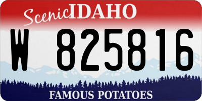 ID license plate W825816