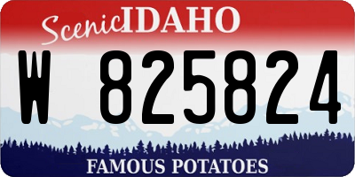 ID license plate W825824