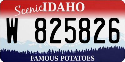 ID license plate W825826
