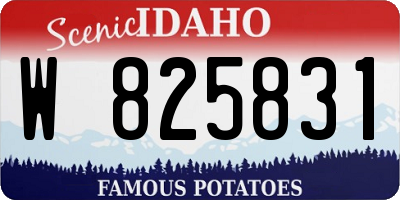 ID license plate W825831