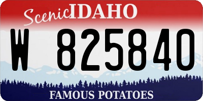 ID license plate W825840