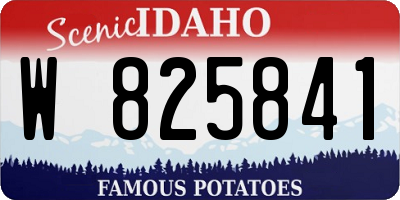 ID license plate W825841