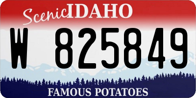 ID license plate W825849