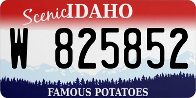 ID license plate W825852