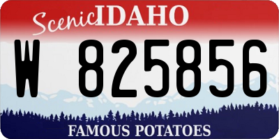 ID license plate W825856