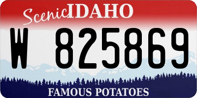 ID license plate W825869