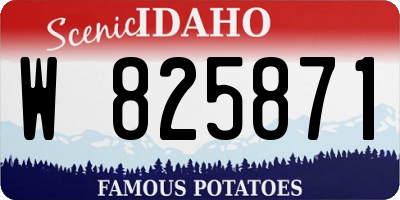 ID license plate W825871