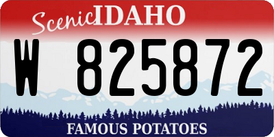 ID license plate W825872