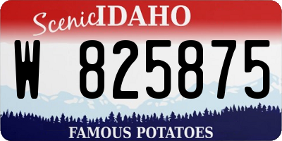 ID license plate W825875