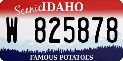 ID license plate W825878