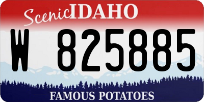 ID license plate W825885