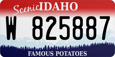 ID license plate W825887