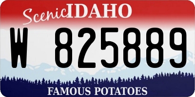 ID license plate W825889