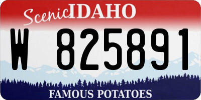 ID license plate W825891
