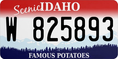 ID license plate W825893