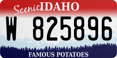 ID license plate W825896