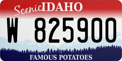 ID license plate W825900