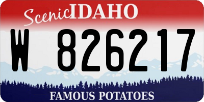 ID license plate W826217