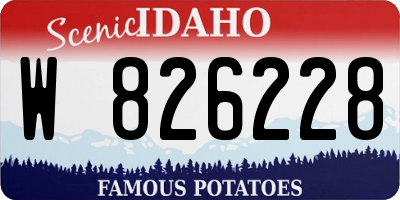 ID license plate W826228