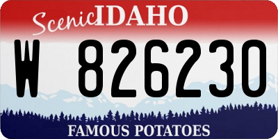 ID license plate W826230