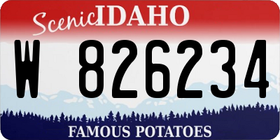 ID license plate W826234