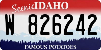 ID license plate W826242