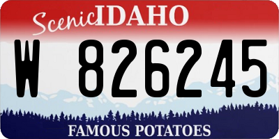 ID license plate W826245