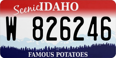 ID license plate W826246