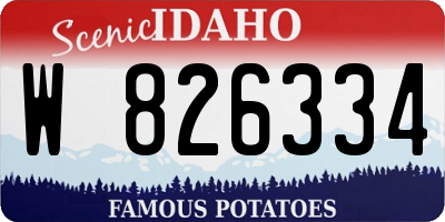 ID license plate W826334