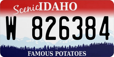 ID license plate W826384