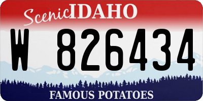 ID license plate W826434