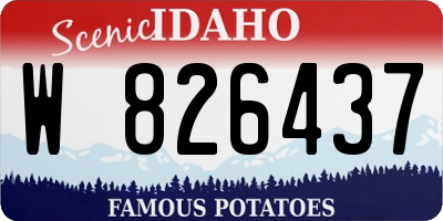 ID license plate W826437