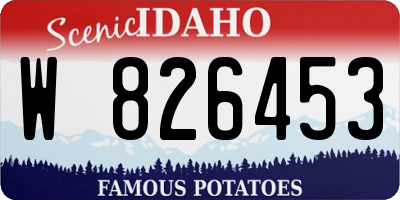 ID license plate W826453