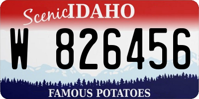 ID license plate W826456