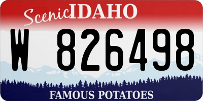 ID license plate W826498
