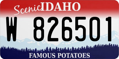 ID license plate W826501