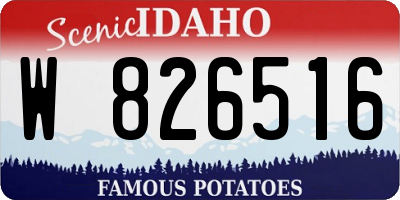 ID license plate W826516