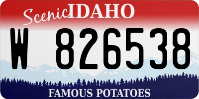 ID license plate W826538