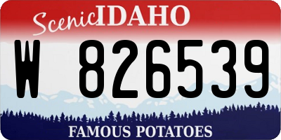 ID license plate W826539