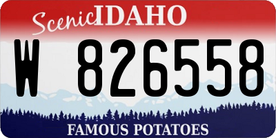 ID license plate W826558